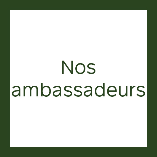 Ambassadeurs